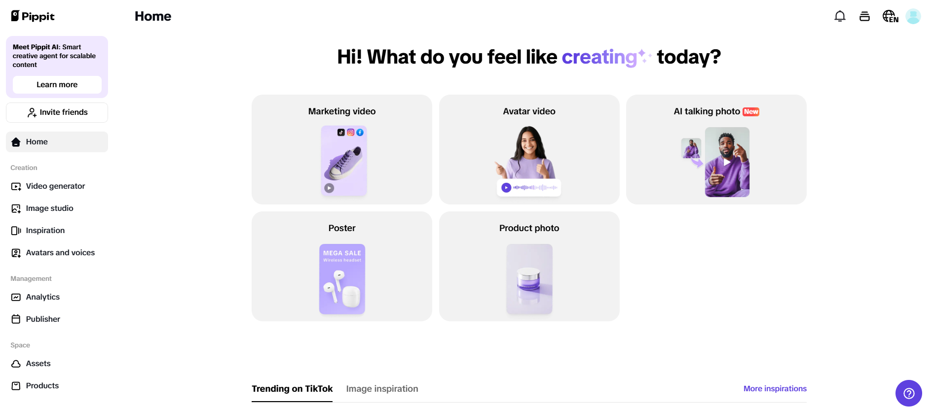 Pippit's interface