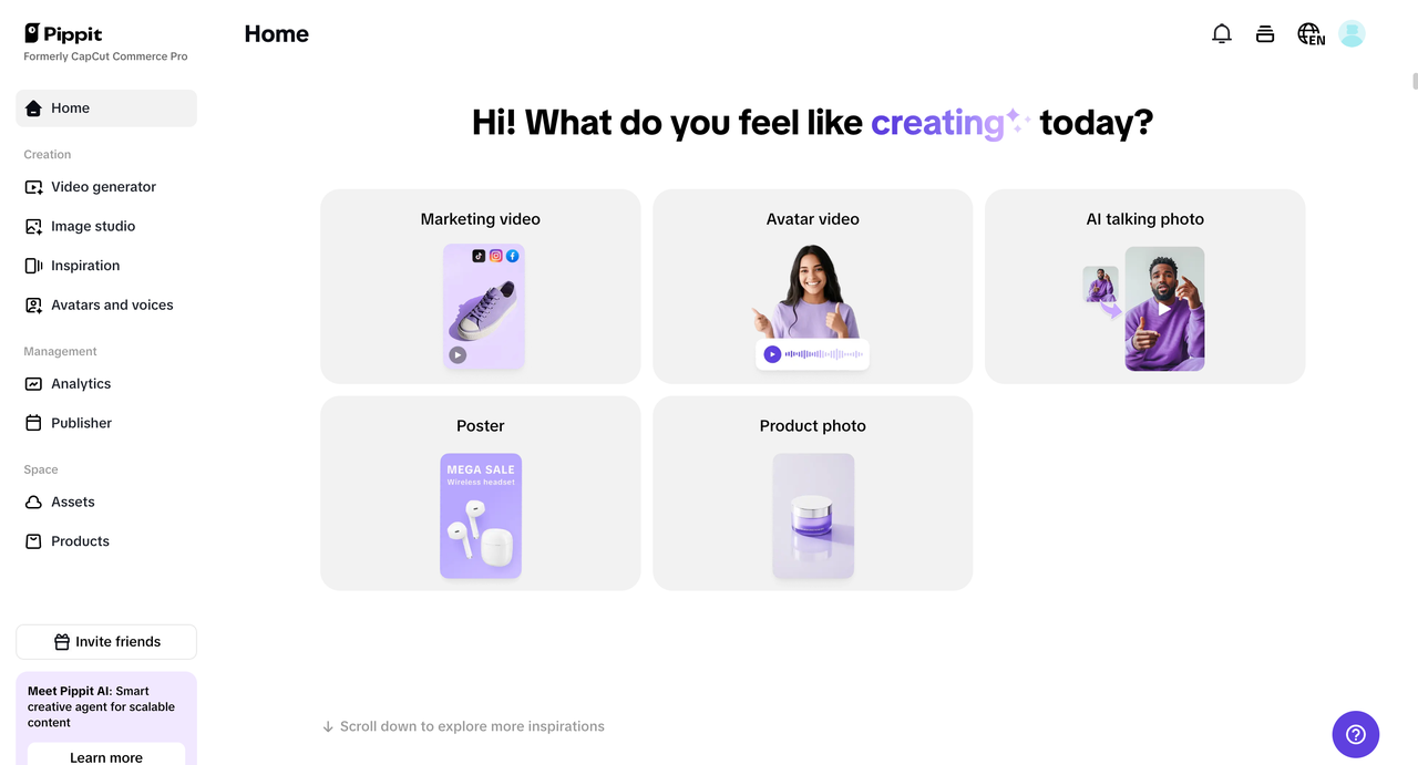 Pippit homepage