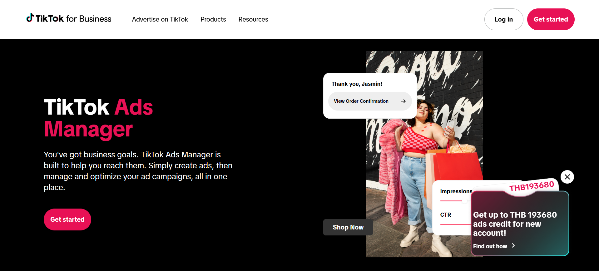 Tiktok Ads Manager interface