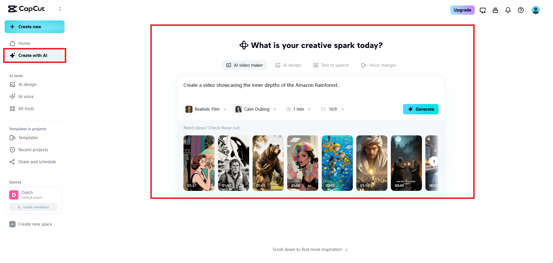 Enter your details for video generation