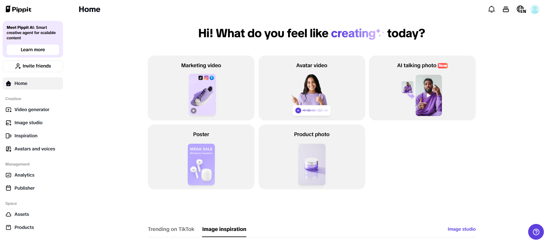 Pippit's interface