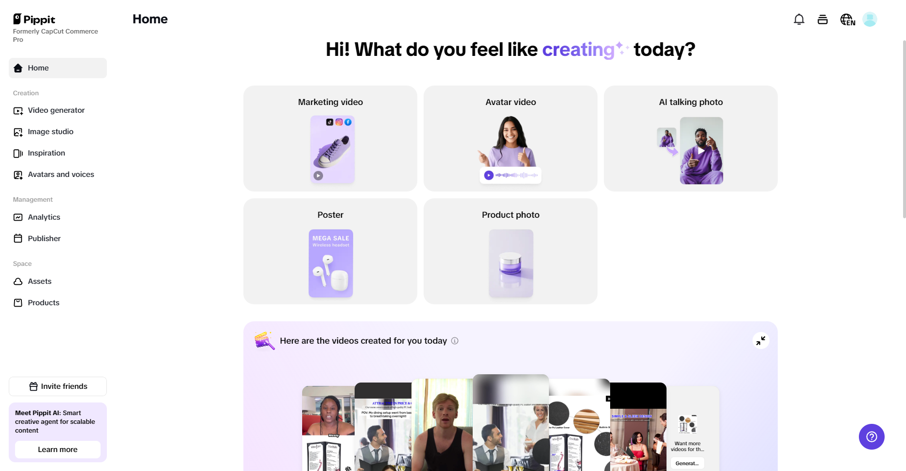 Pippit's interface