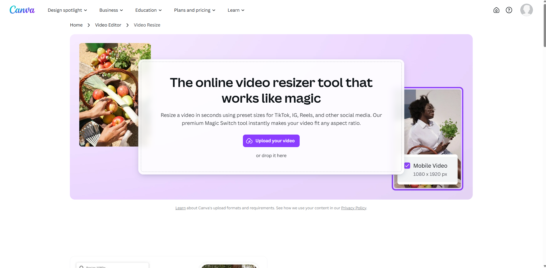 Interface of Canva - a highly efficient online video resizer