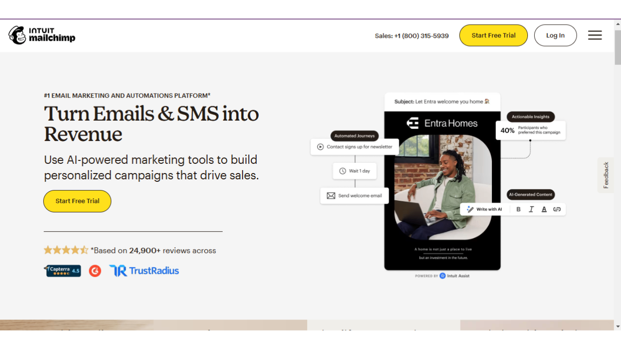 Mailchimp online advertising services