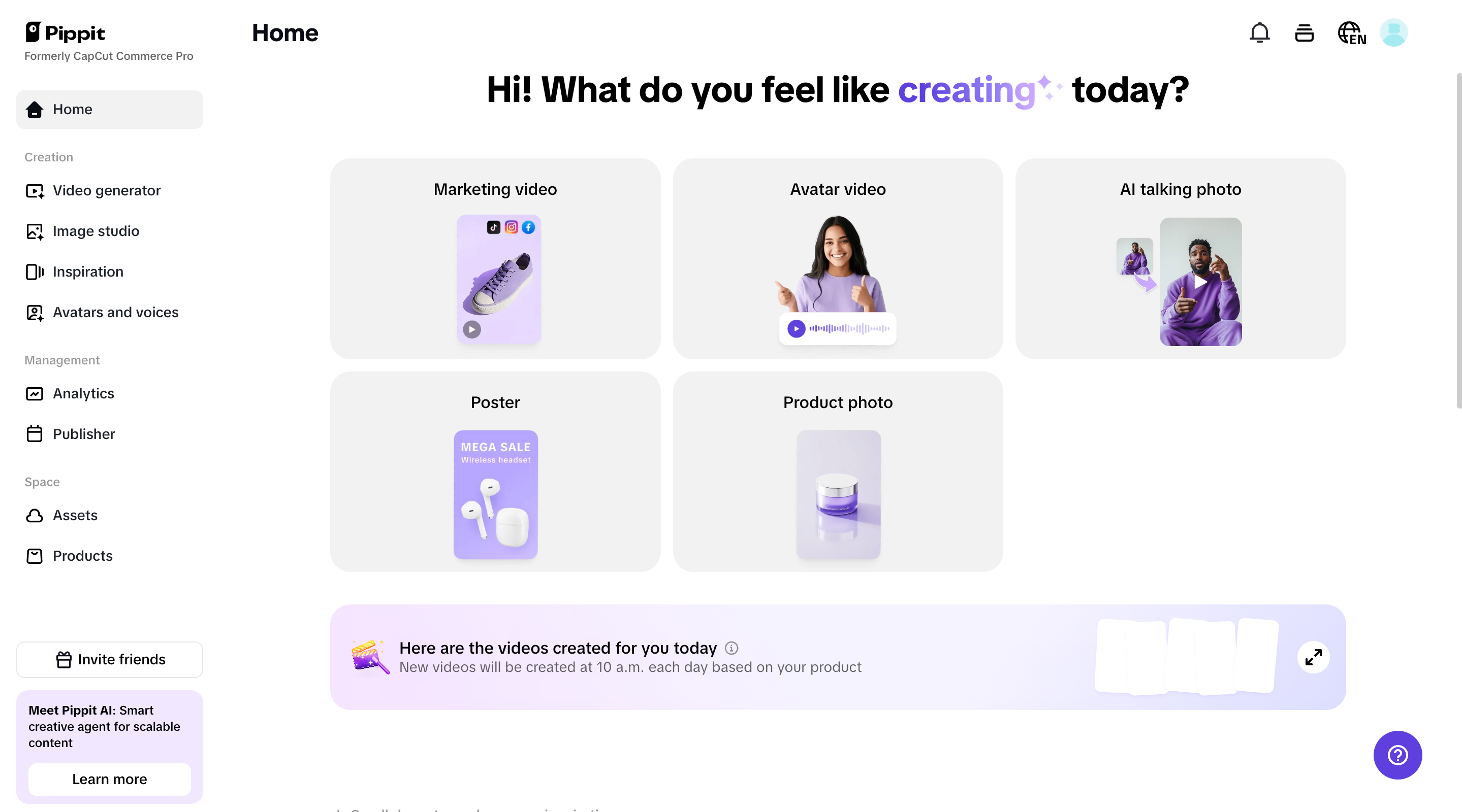 Pippit  interface