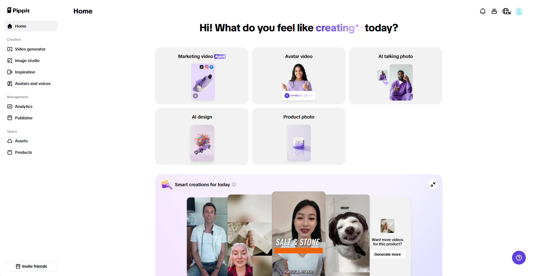 Pippit interface