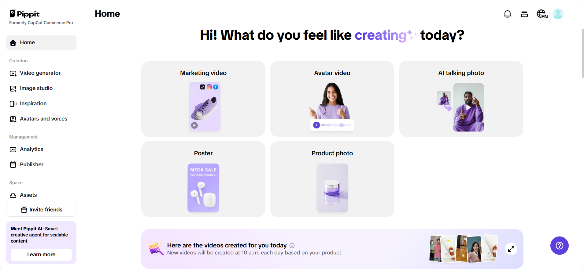 Pippit interface