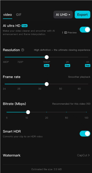 Set the output video