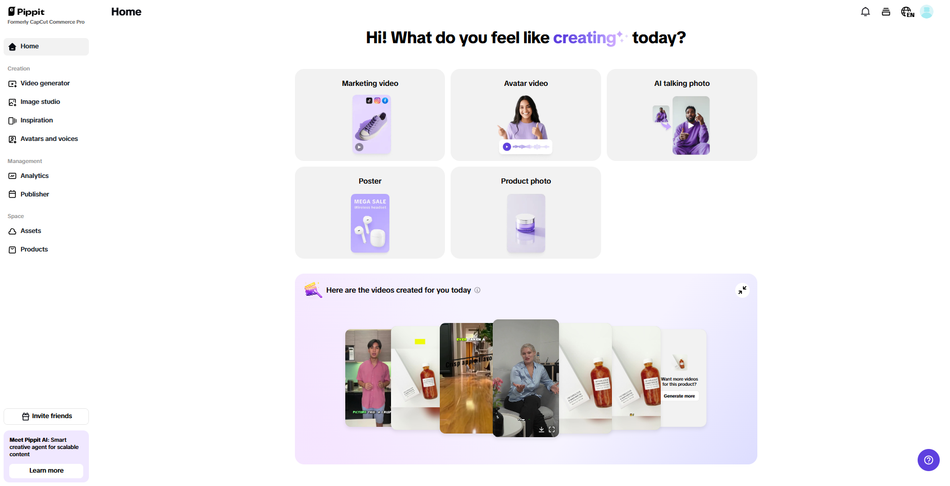 Pippit interface