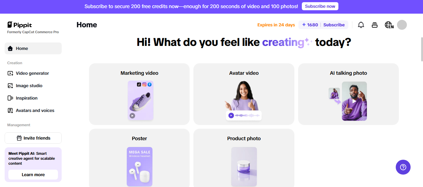 Main Pippit interface