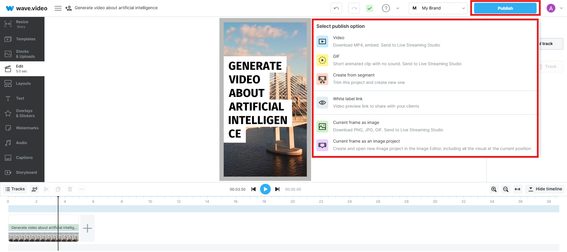 Publish your video