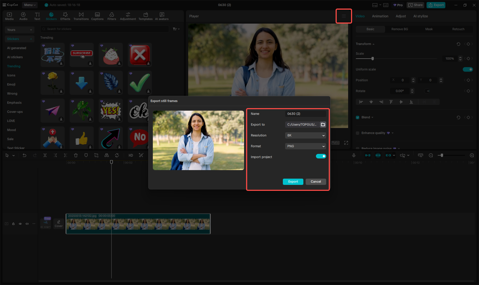 Export image in PNG format
