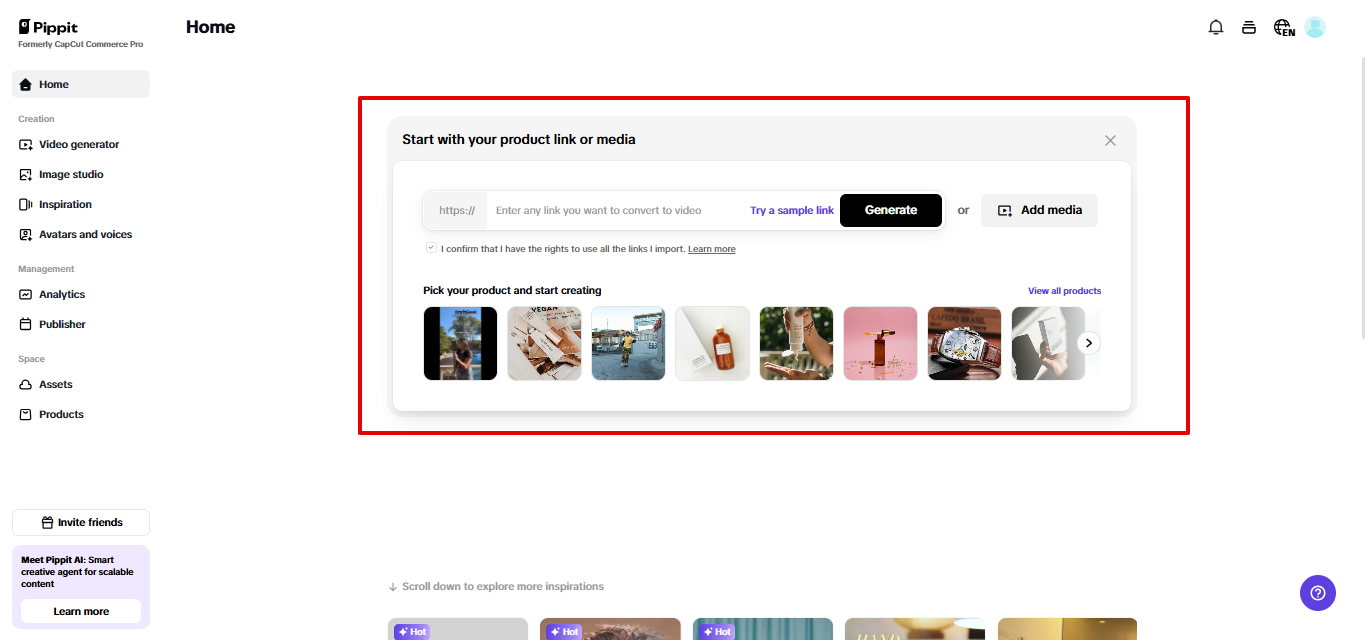 Video solution in Pippit