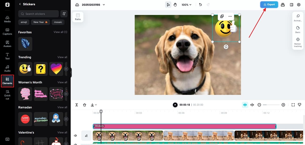 Nihai videoyu indirin