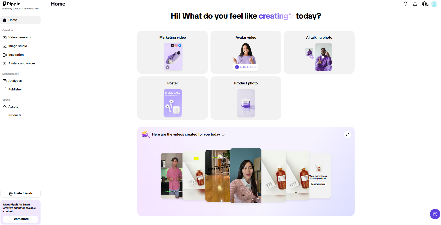 Pippit interface