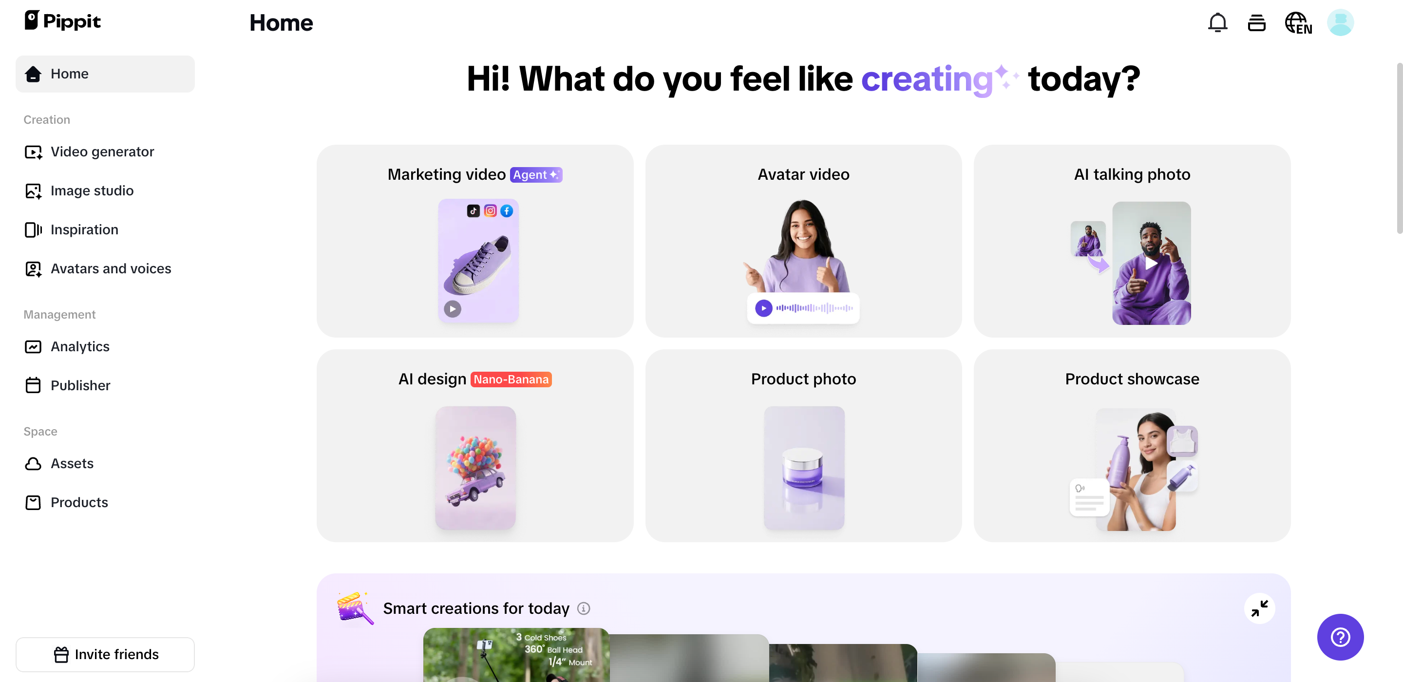 Pippit interface