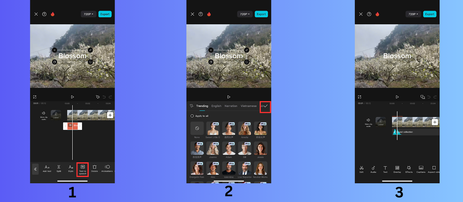 Pick a voice filter