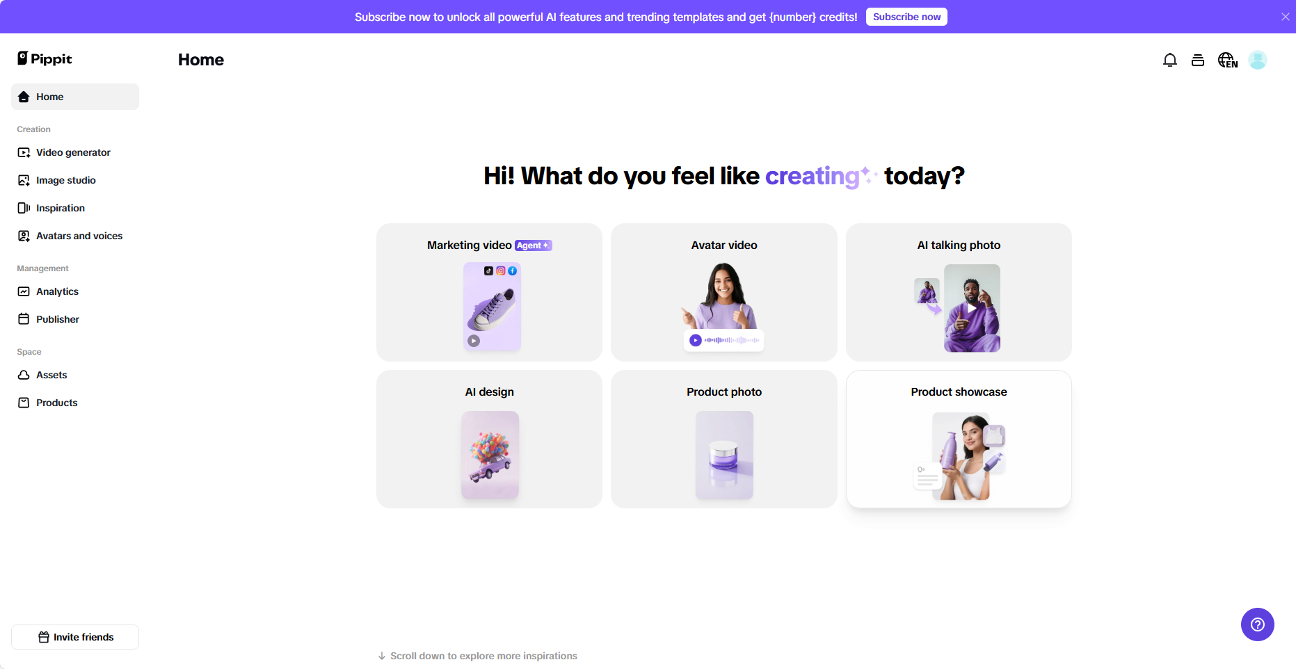 Pippit interface