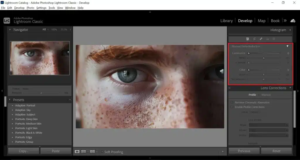 Adobe Lightroom의 인터페이스 - 사진에서 알갱이를 제거하는 빠른 방법