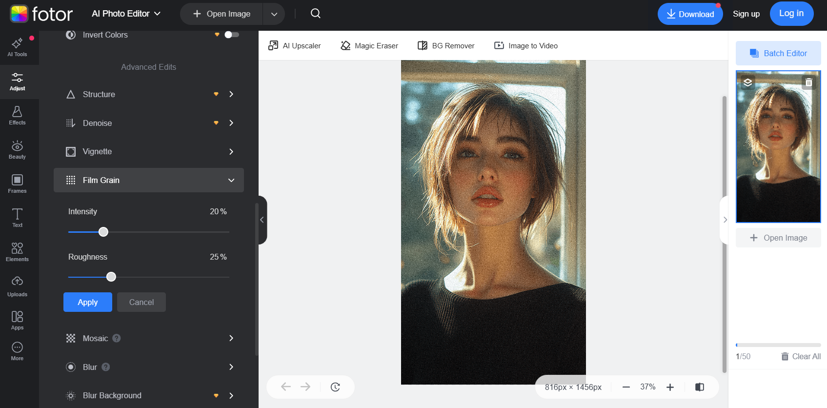 Fotor permet aux utilisateurs d'ajouter du grain aux photos en ligne