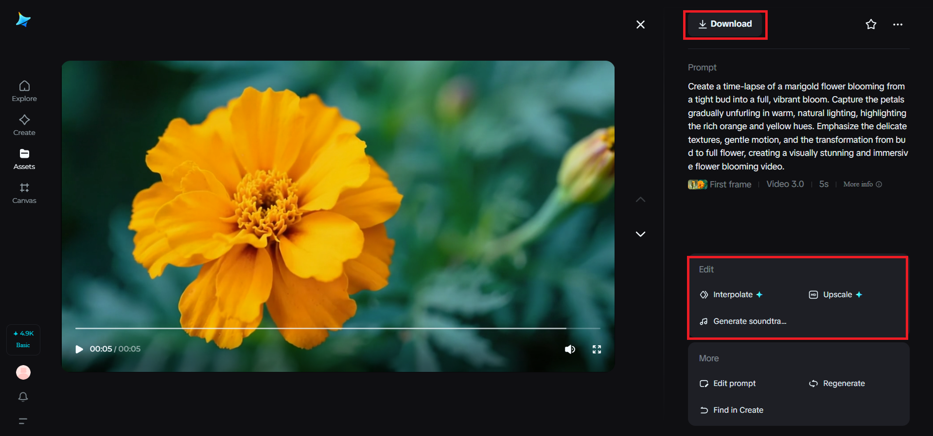 Edit and download the