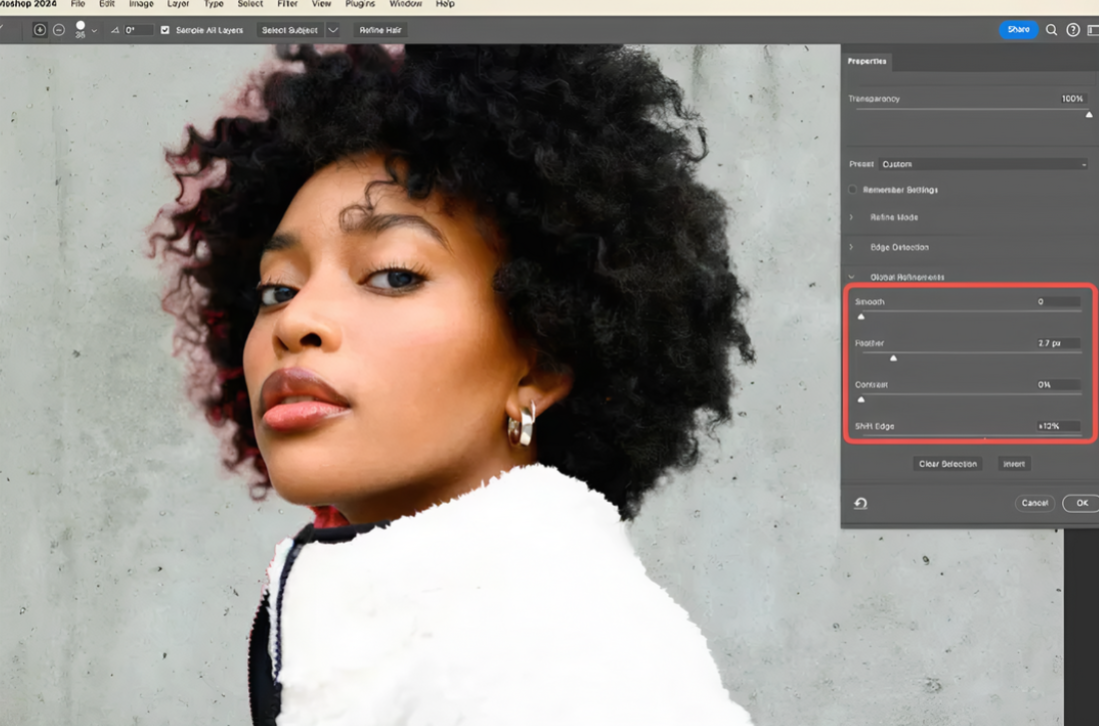 Refine and polish the background removal result