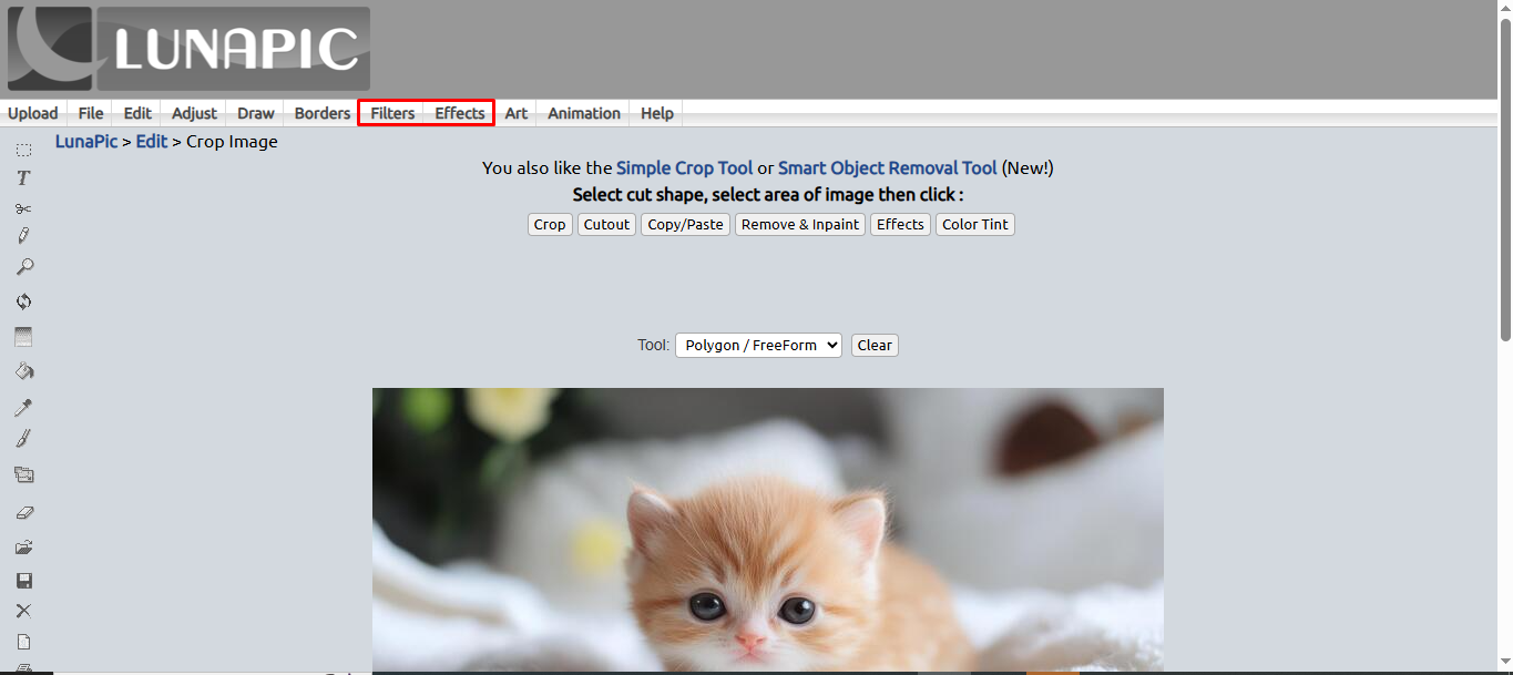 Applying filters and effects to your photo in LunaPic online photo editor
