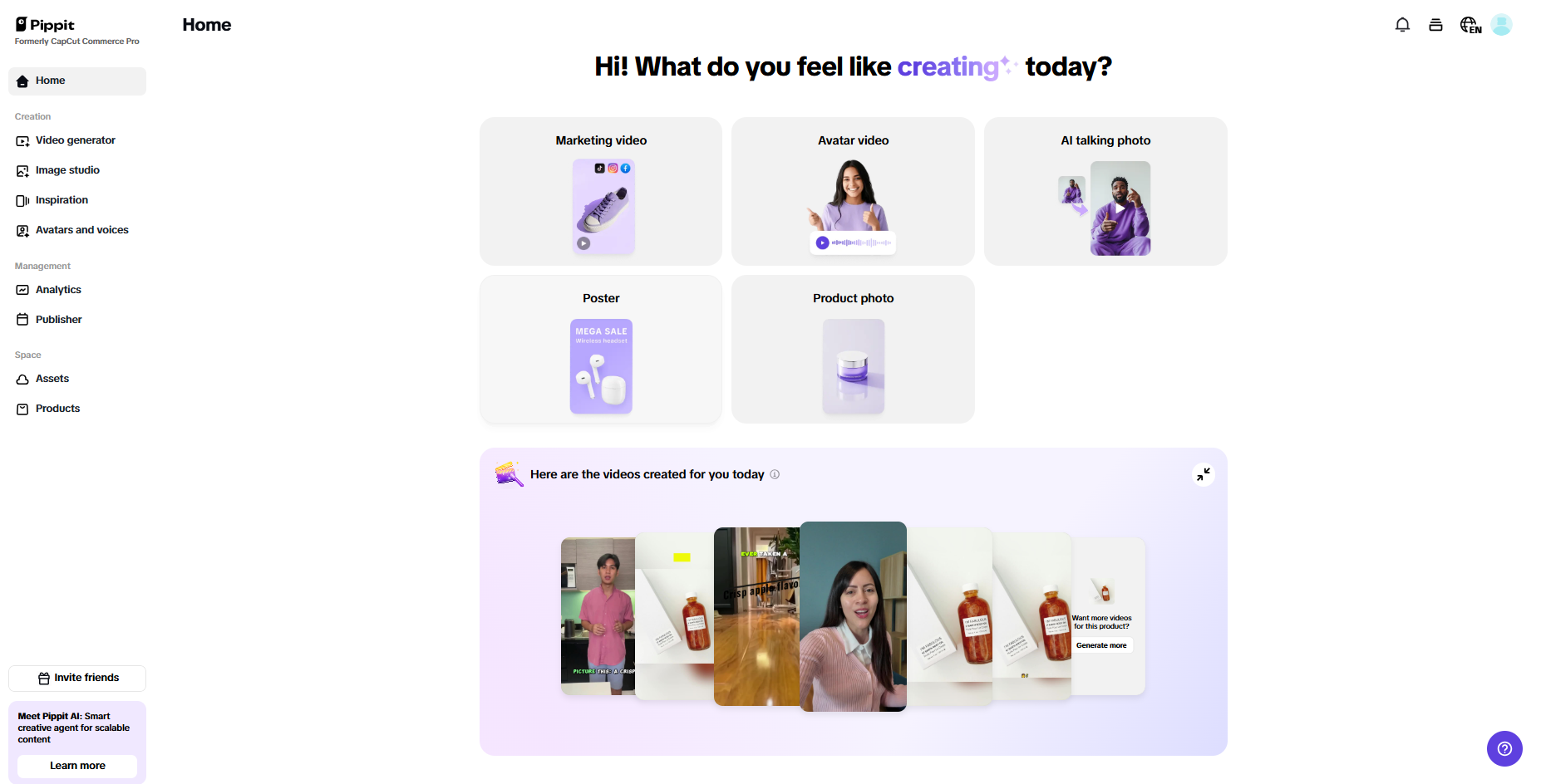Pippit interface