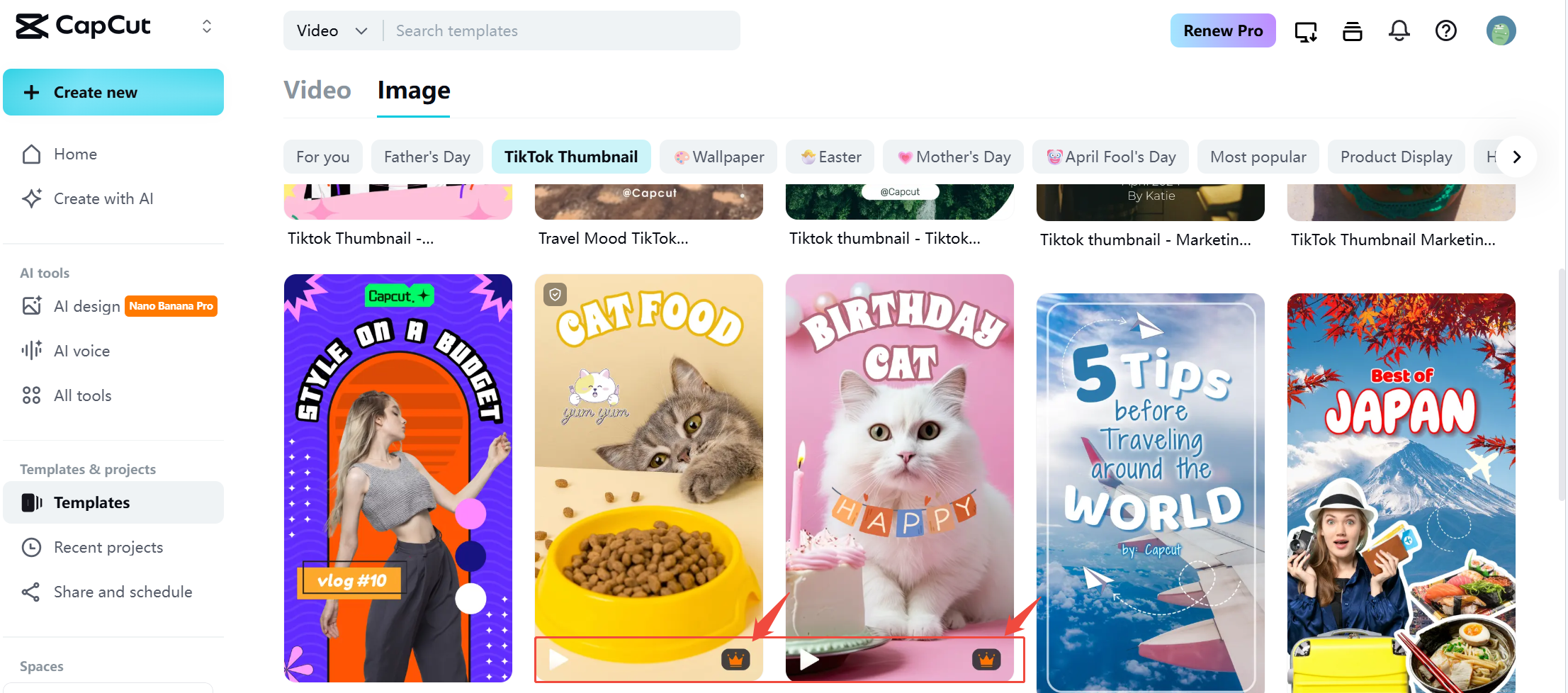 Paid templates come with watermarks