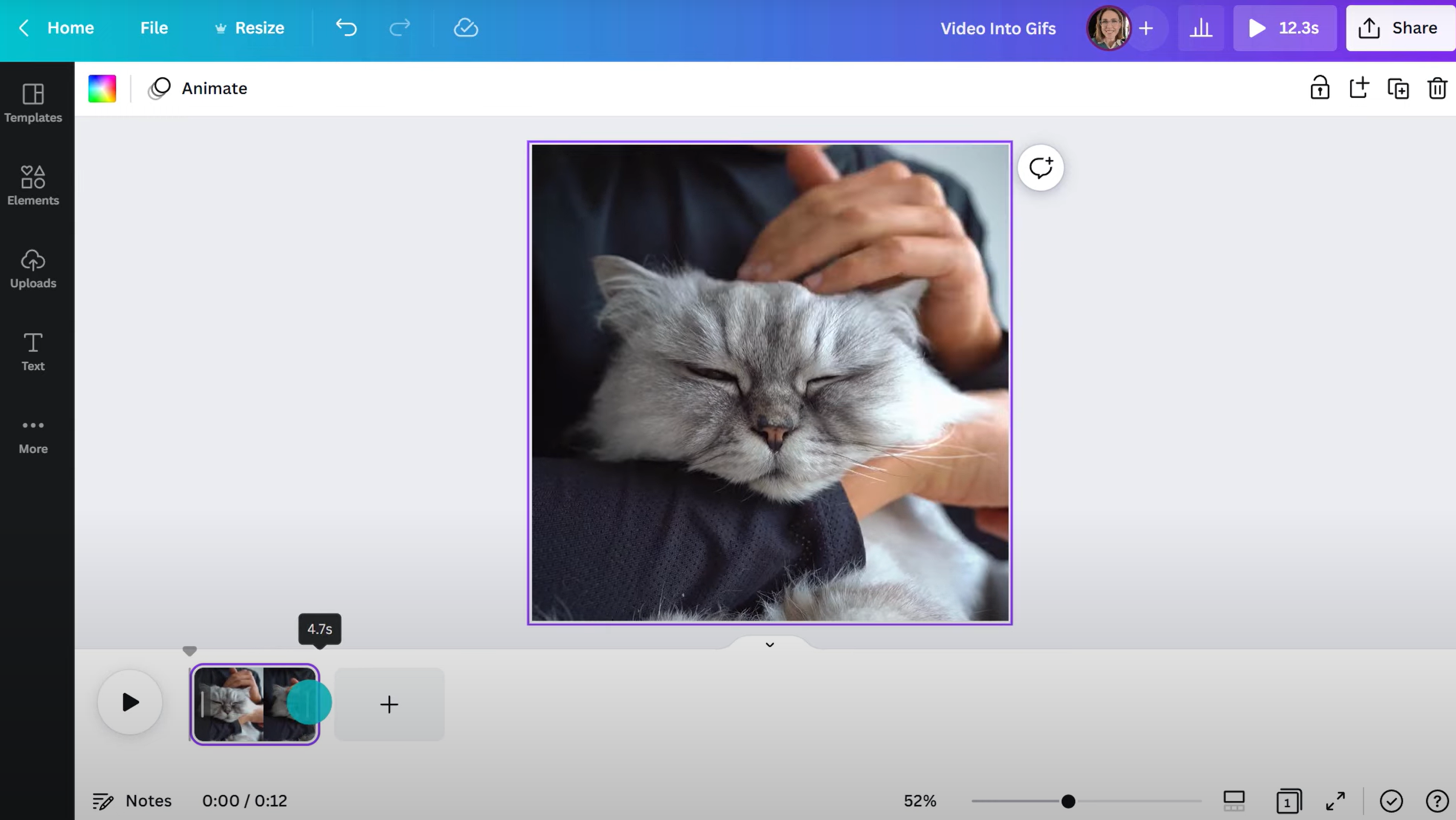 Canva - un creador de GIF animados en línea amigable para principiantes