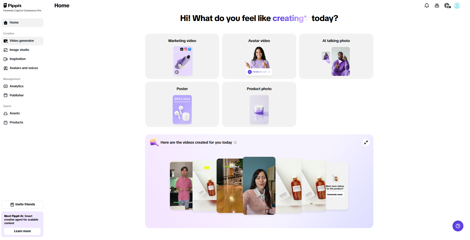 Pippit interface