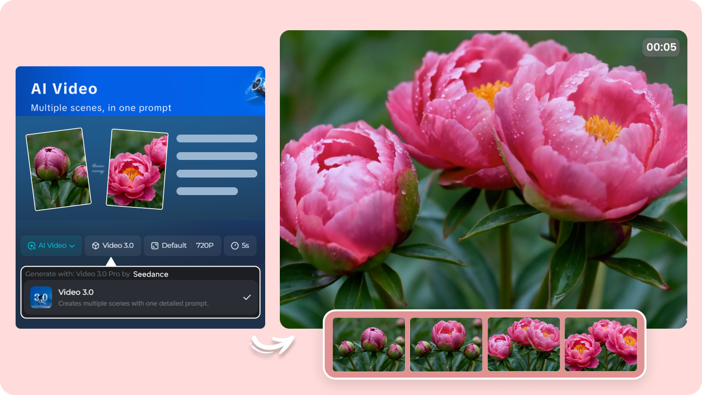 flowers blooming video