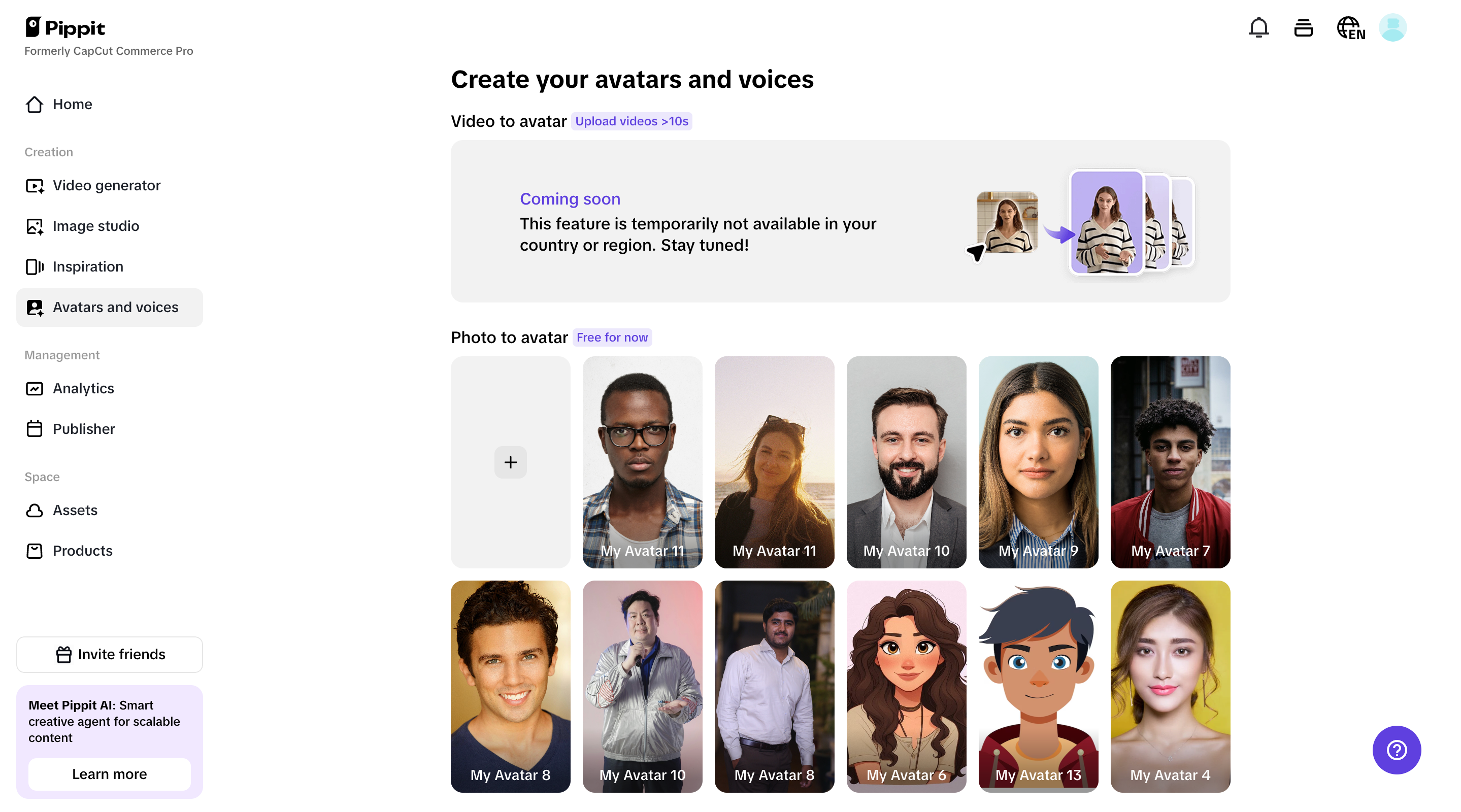 Avatar and voices