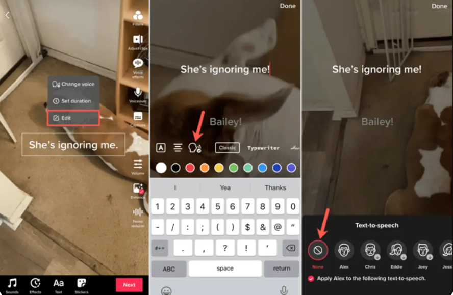 Steps to using the TikTok AI voice generator