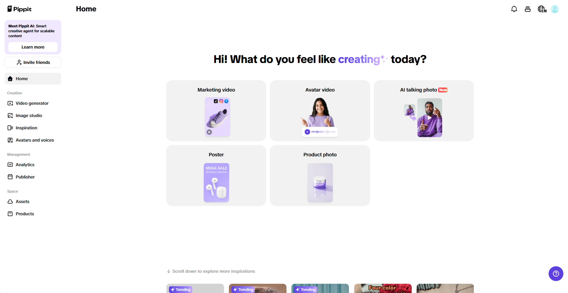 Pippit interface