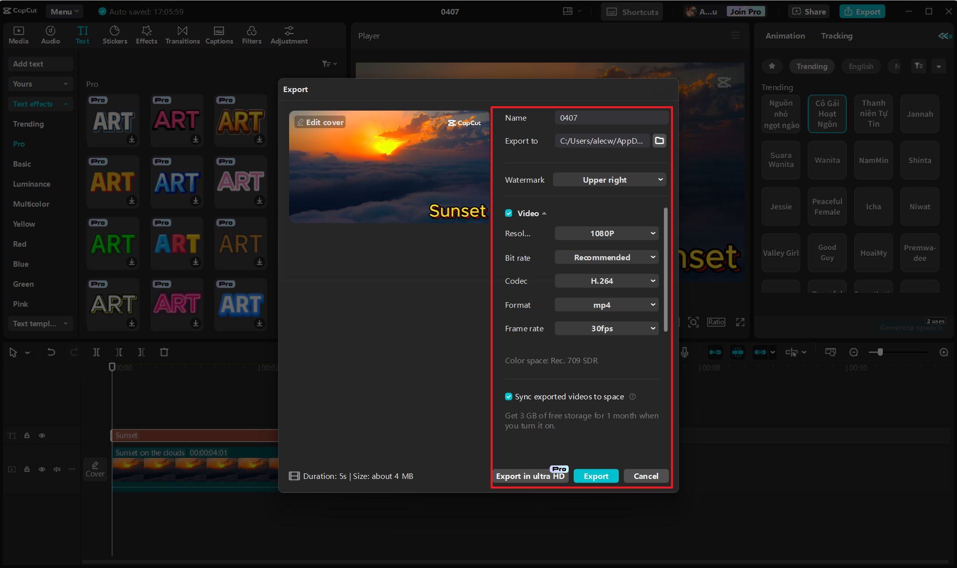 Export your video