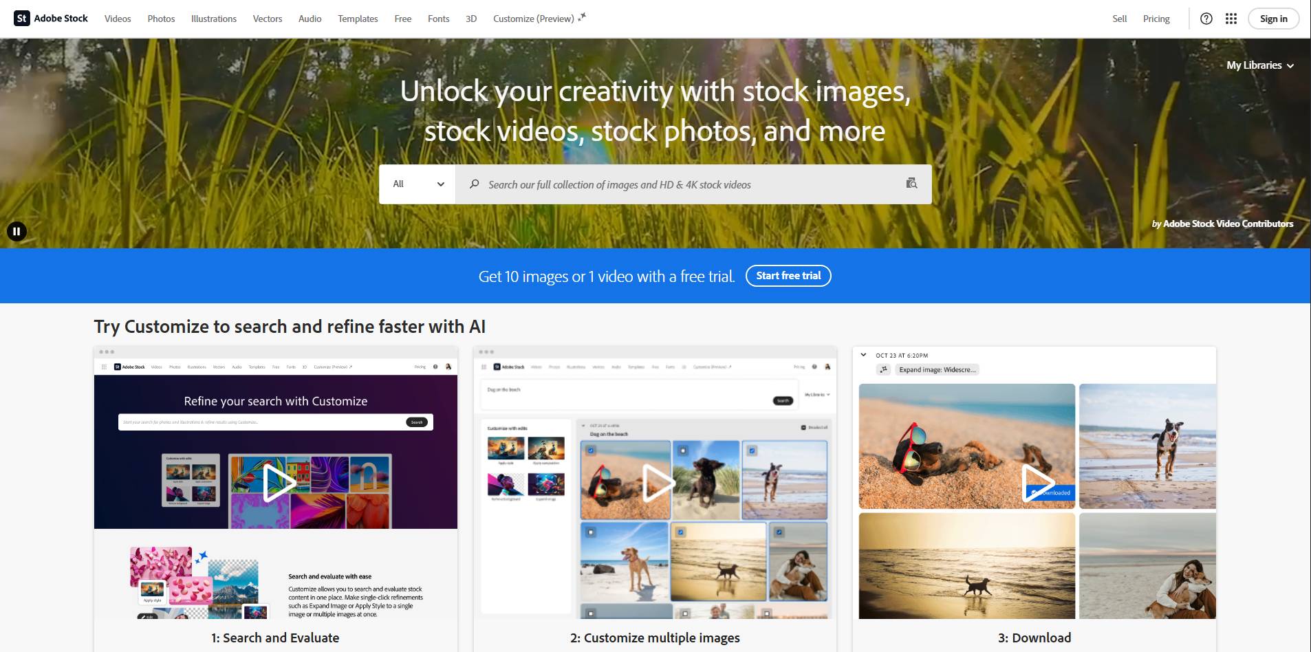 Adobe Stock