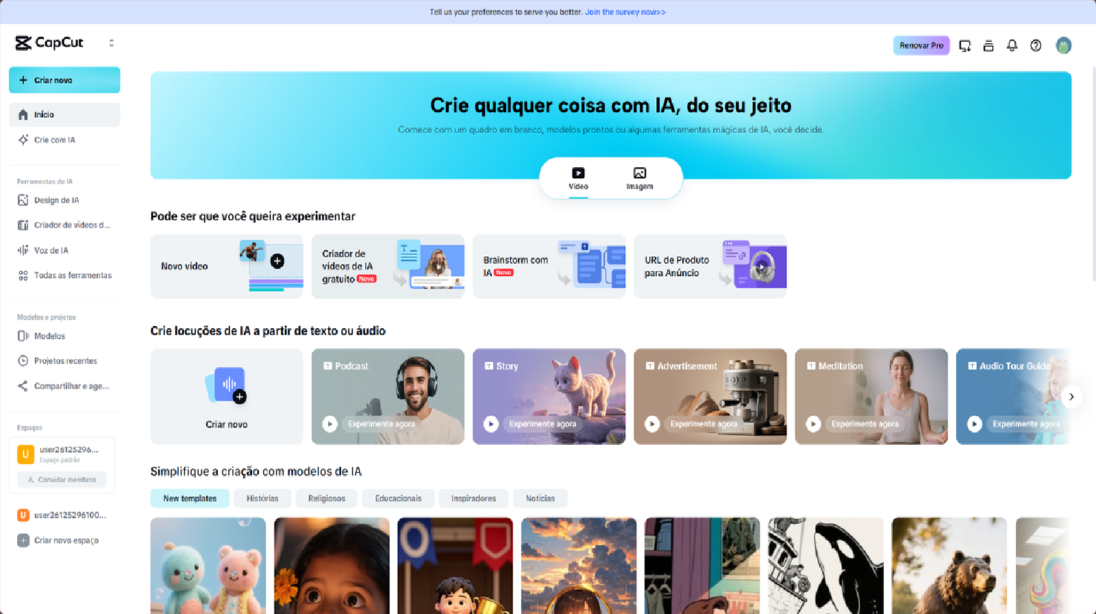 Choose the type of Carnival video and insert a creative idea