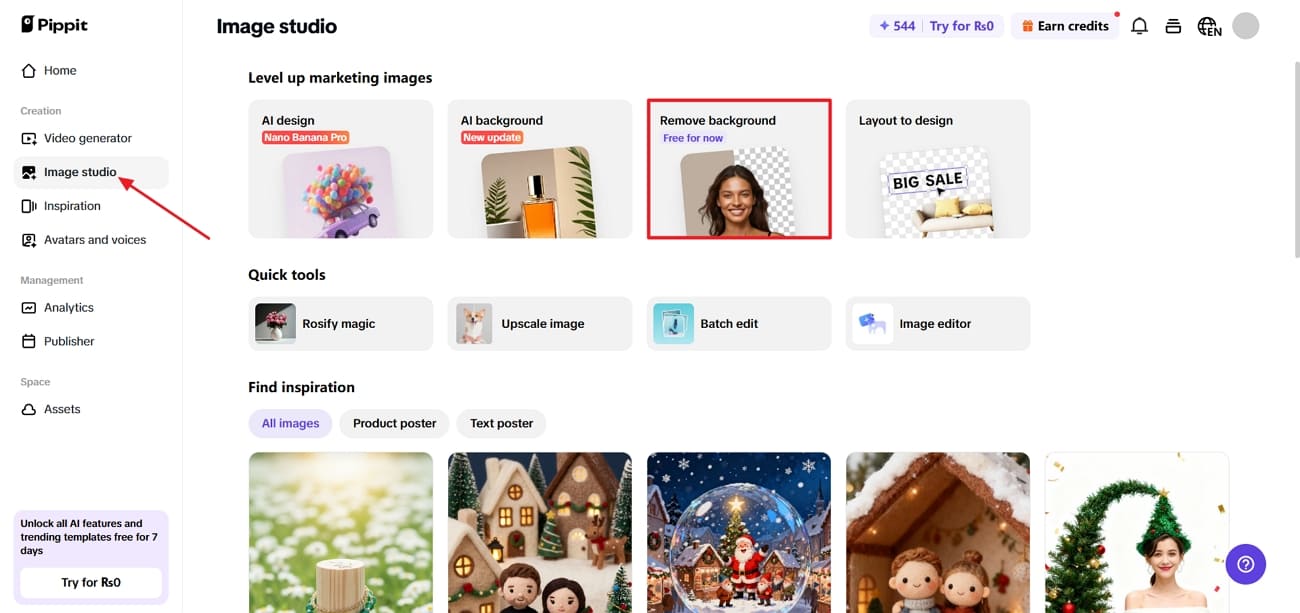 pääsy Pippit-taustapoistotyökaluun