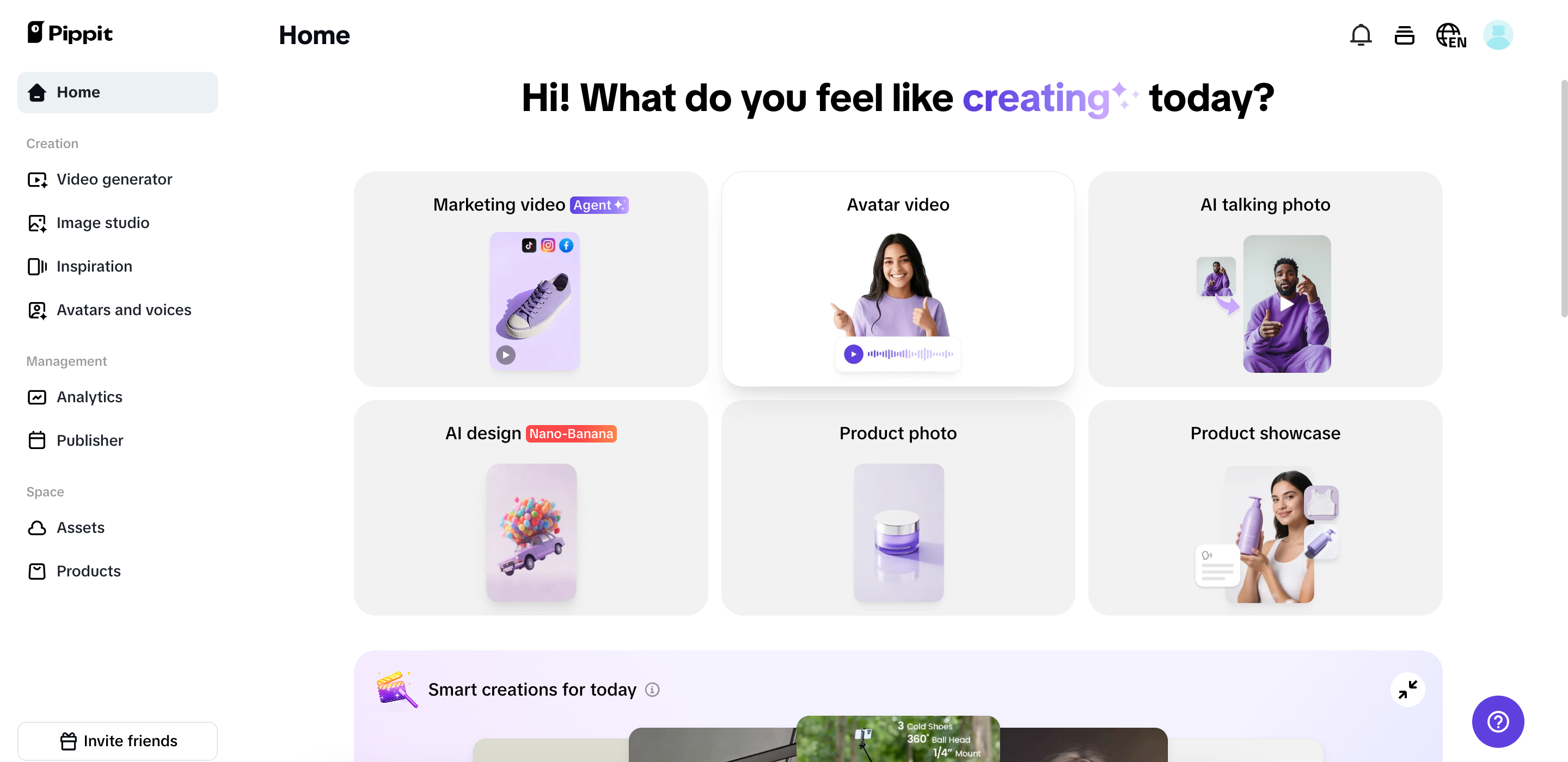 Pippit interface