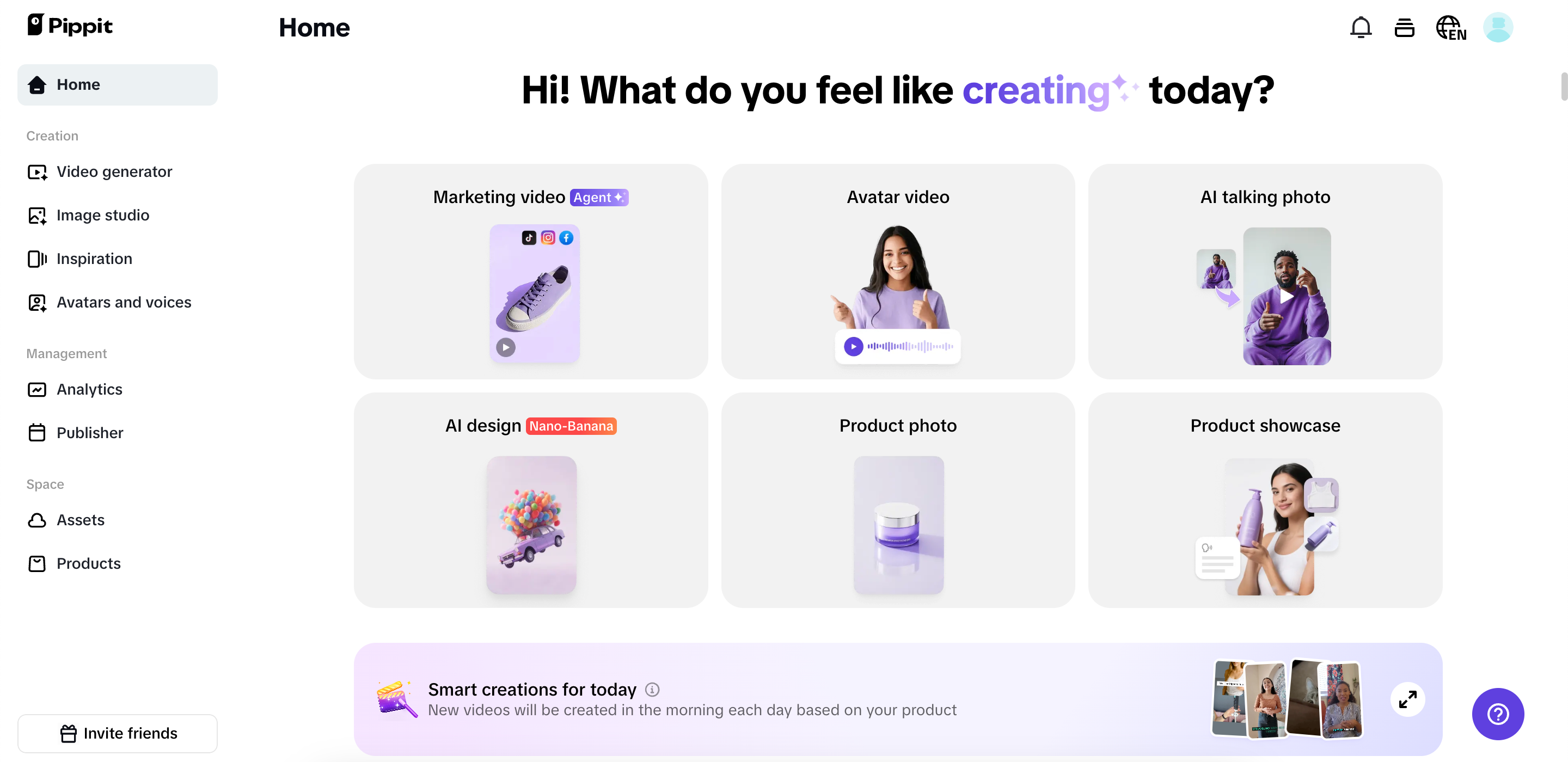 Pippit interface