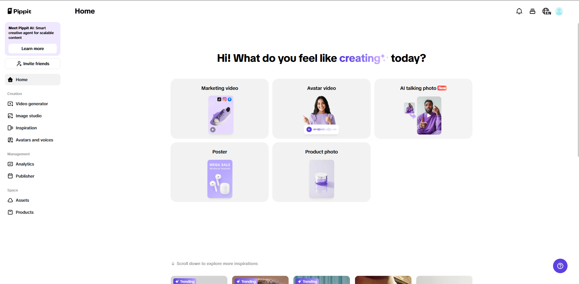 Pippit Interface