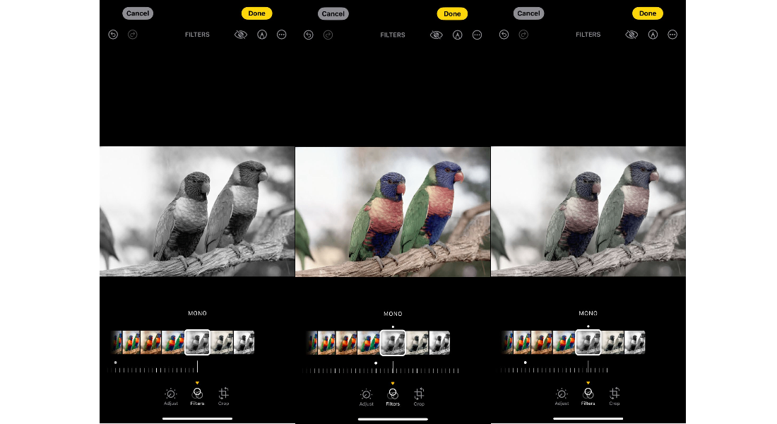 Mono-filter