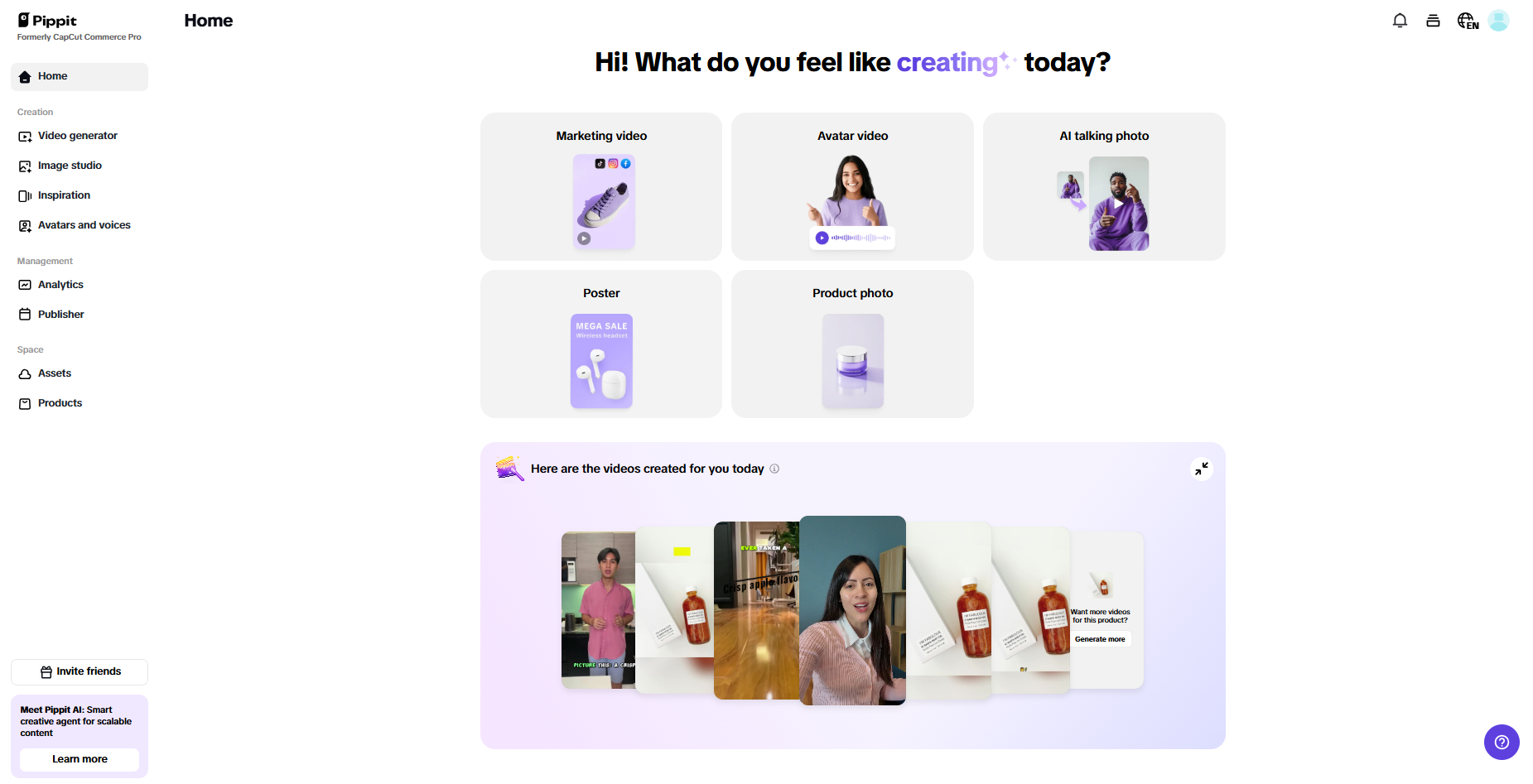 Pippit interface