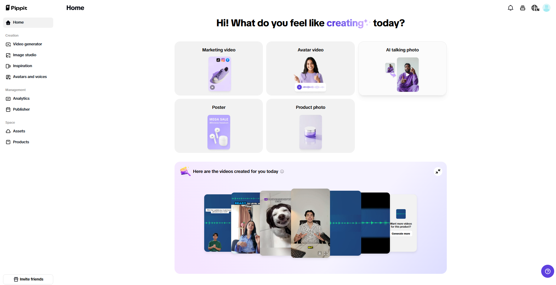 Pippit interface