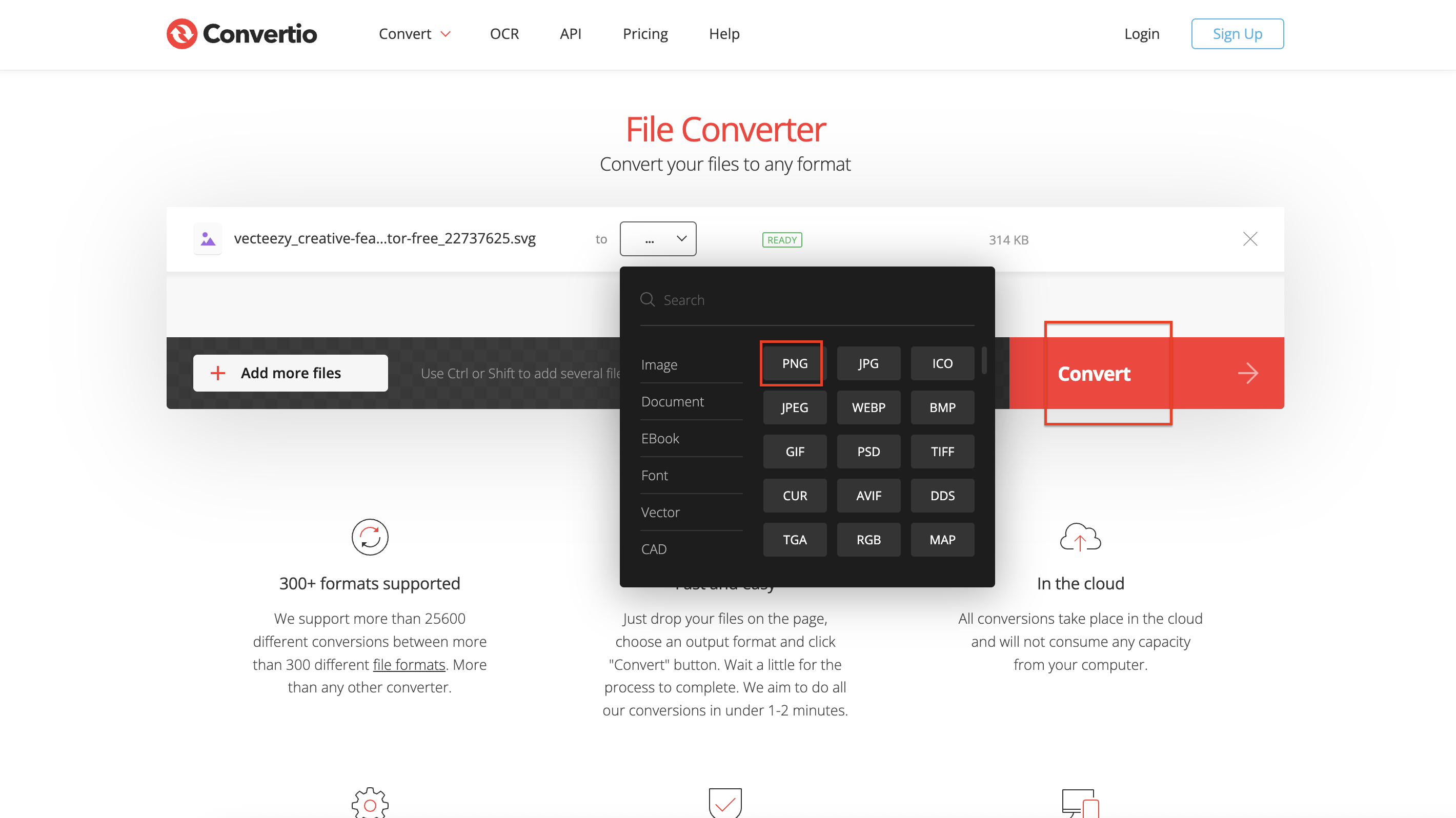 Choose PNG as the output format