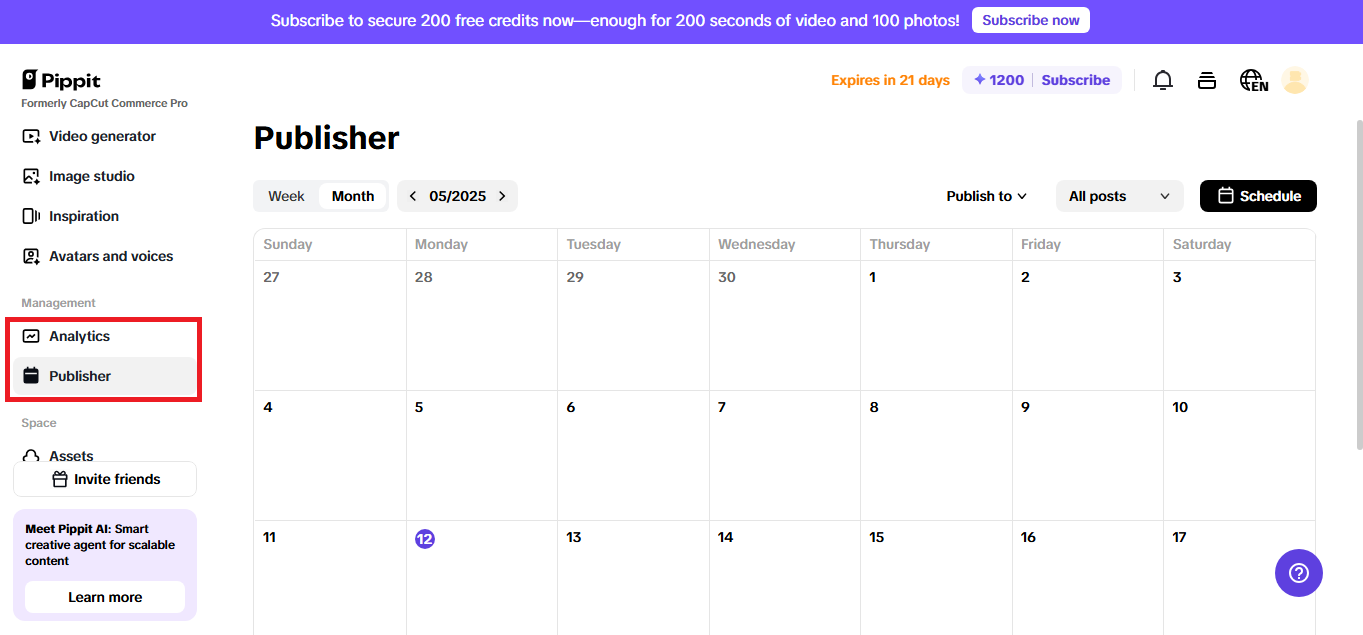 Pippit's publishing and analytics options