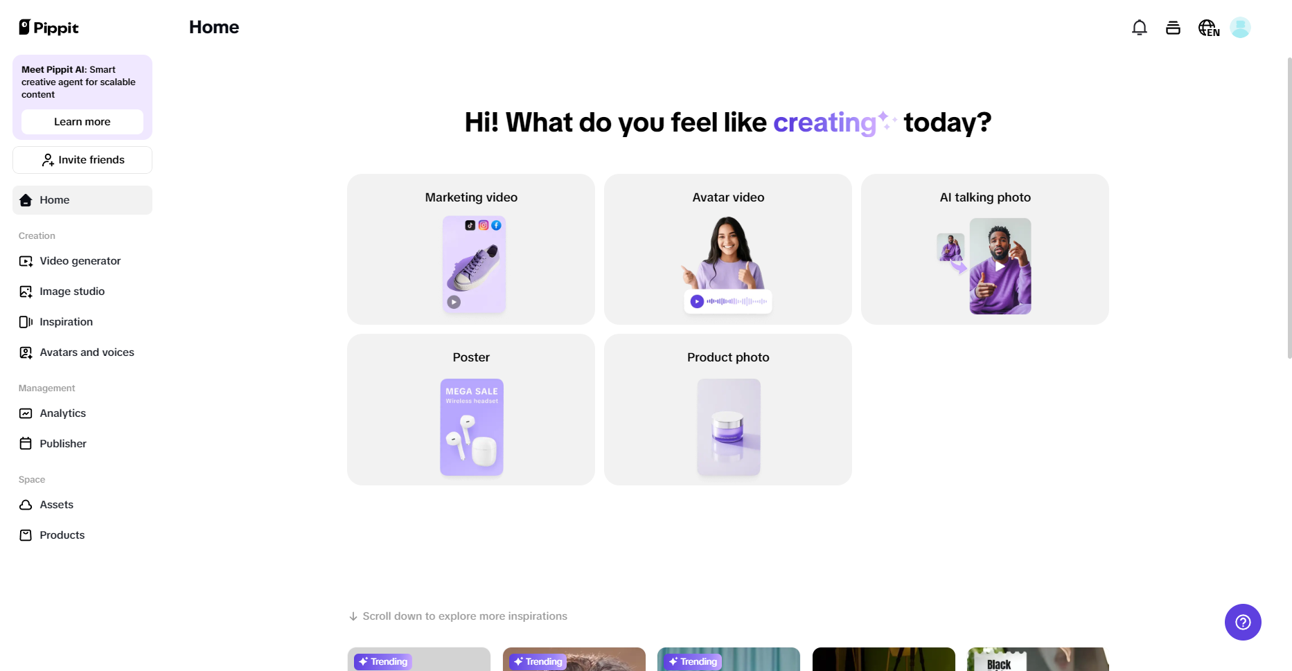 Pippit homepage