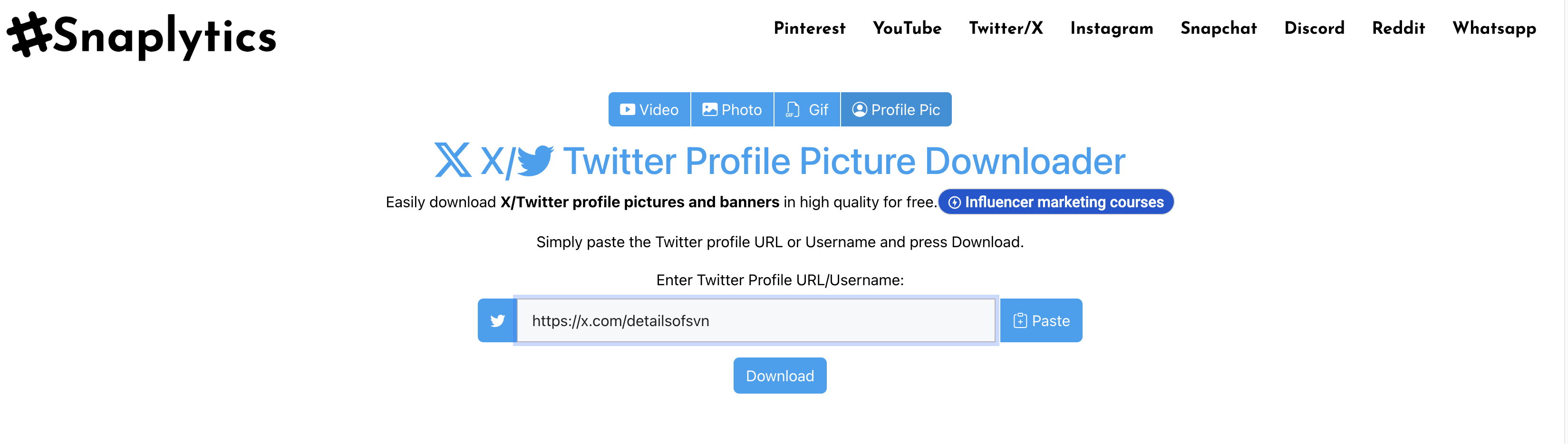 Incolla l'URL nell'interfaccia Snaplytics