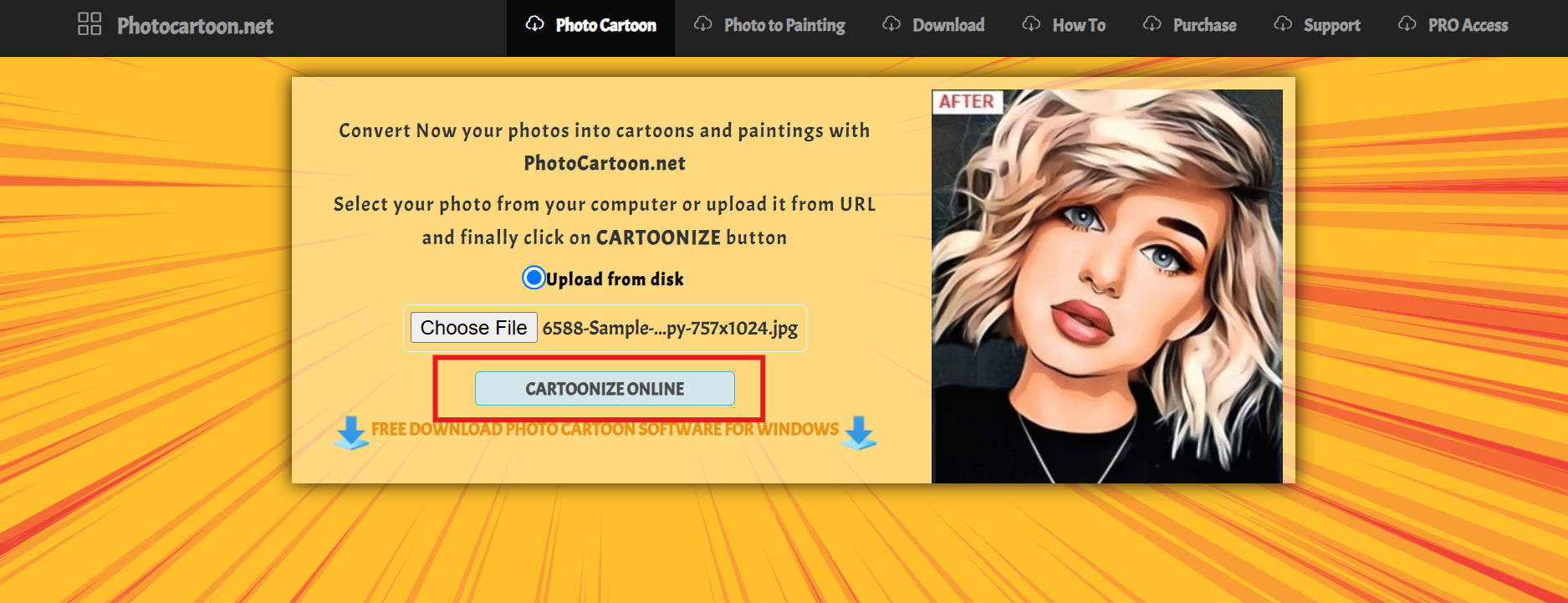 Cartooniser